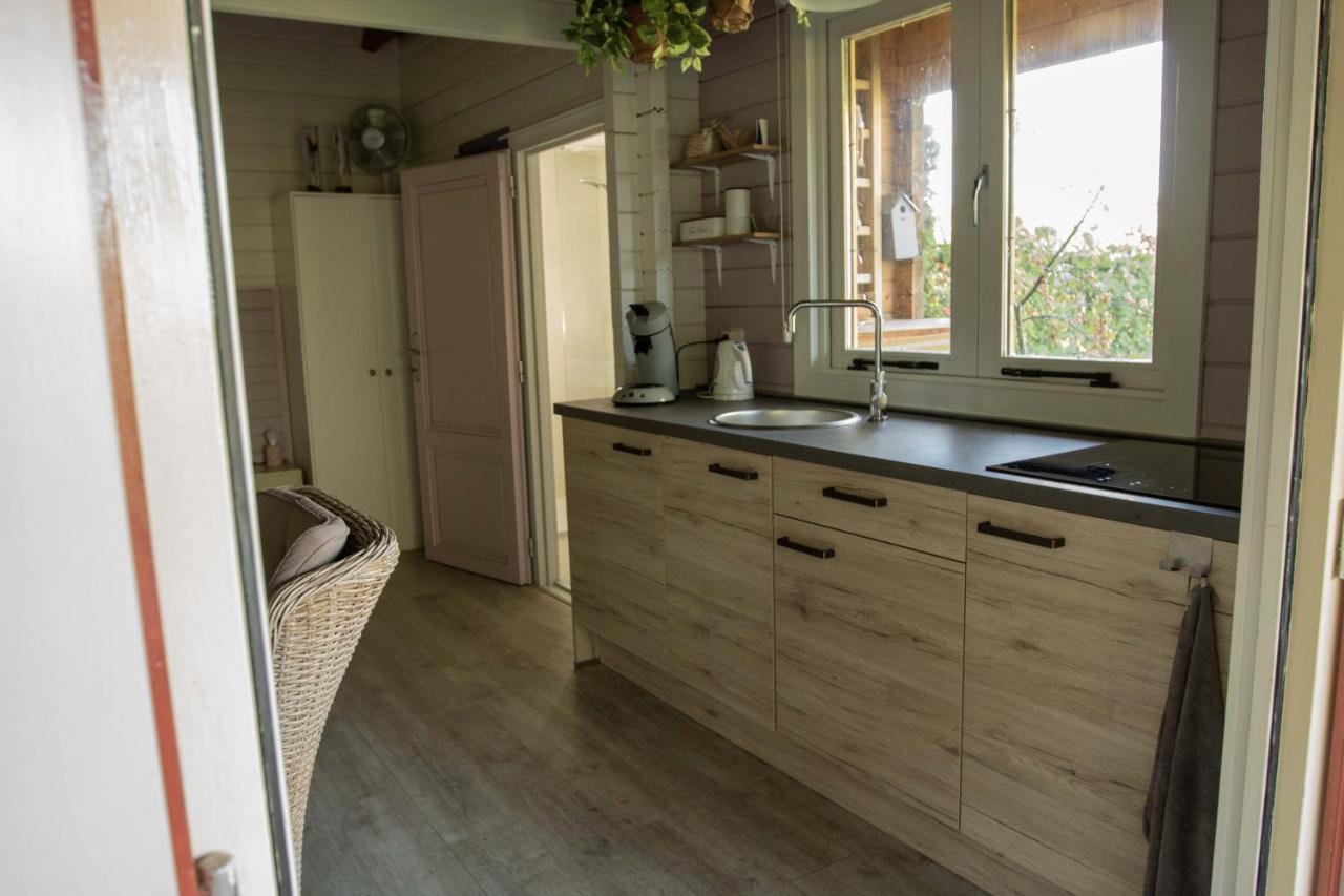 Chalet Ben In Broek Benningbroek Екстериор снимка