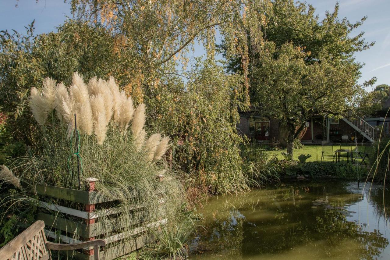 Chalet Ben In Broek Benningbroek Екстериор снимка